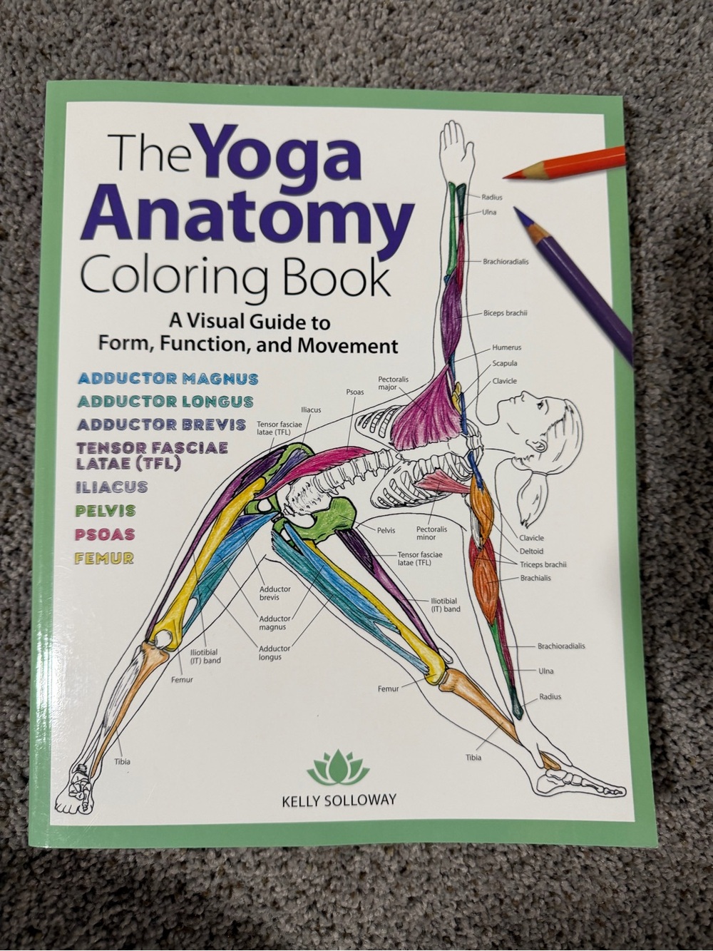 The Yoga Anatomy Coloring Book by Kelly Solloway